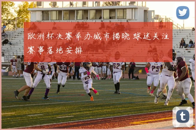 欧洲杯决赛举办城市揭晓 球迷关注赛事落地安排