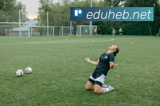 世界杯平台官网登录服务体系